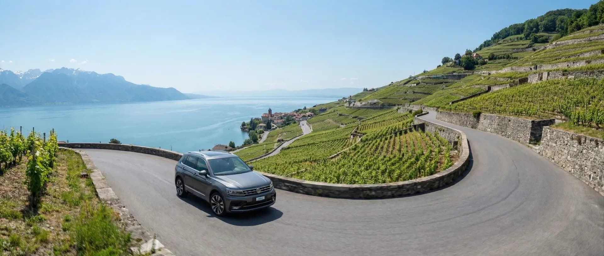 Tiguan dans un paysage panoramique